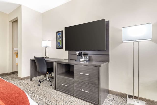 Standard Single Room, 1 King Bed, Non Smoking