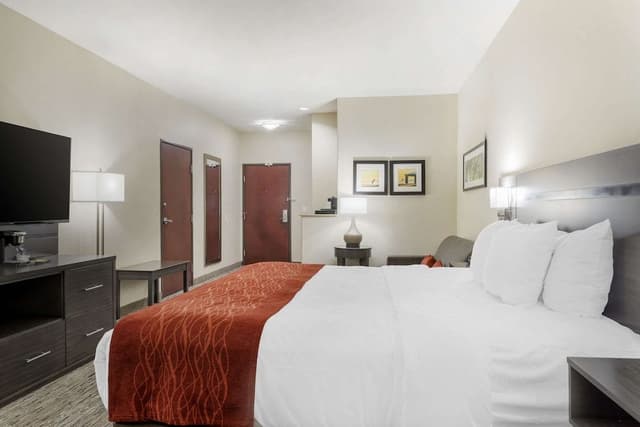 Standard Single Room, 1 King Bed, Non Smoking