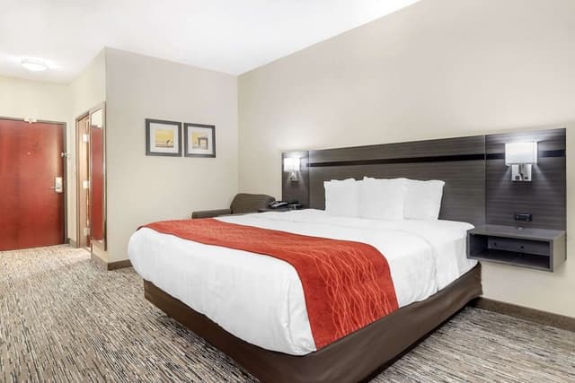 Standard Single Room, 1 King Bed, Non Smoking