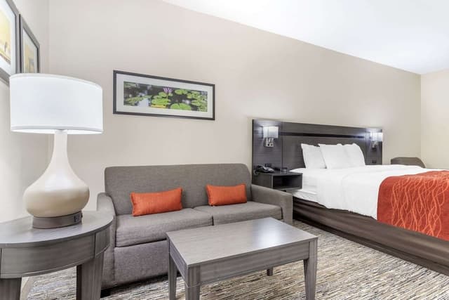 Standard Single Room, 1 King Bed, Non Smoking
