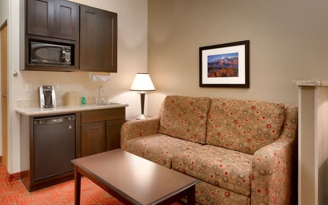 Suite, 1 King Bed with Sofa bed