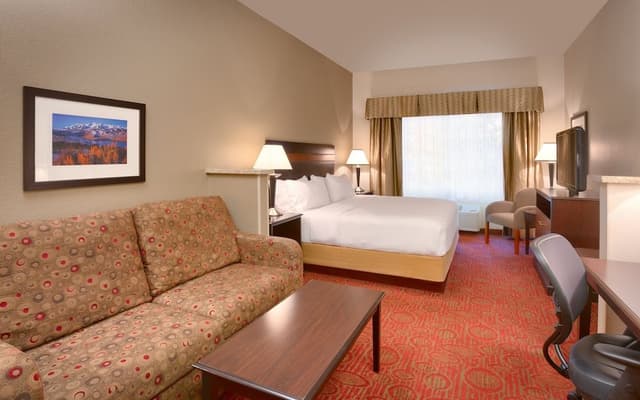 Suite, 1 King Bed with Sofa bed