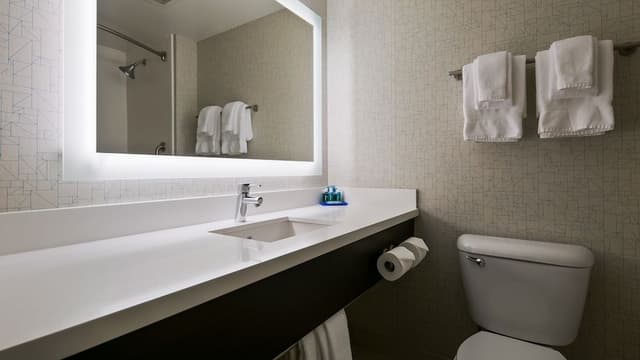 Suite, 1 Bedroom, Kitchen (Living)