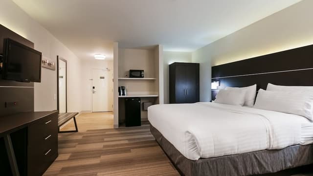 Standard Room, 1 King Bed with Sofa bed