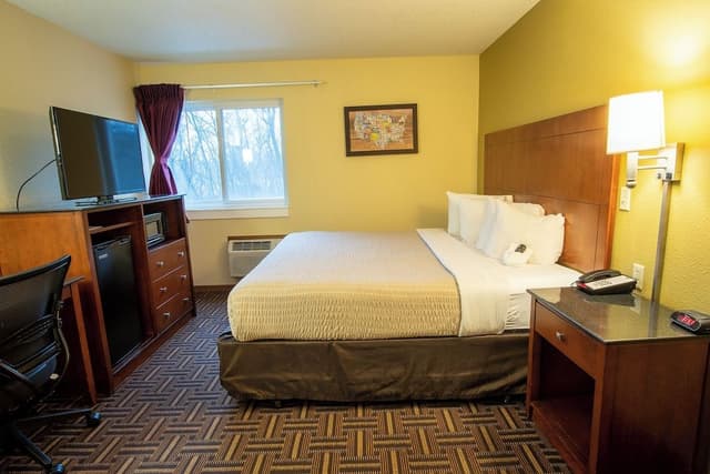 Room, 1 King Bed, Non Smoking