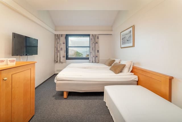 Standard Triple Room, Non Smoking