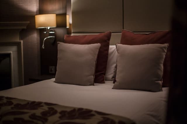 Contempo Suite