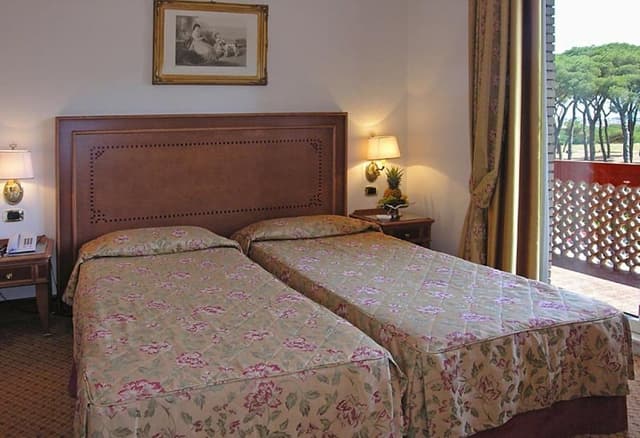 Superior Double or Twin Room, Garden View
