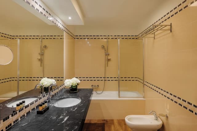 Superior Double or Twin Room