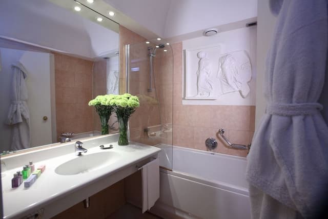 Standard Double or Twin Room (gym access)