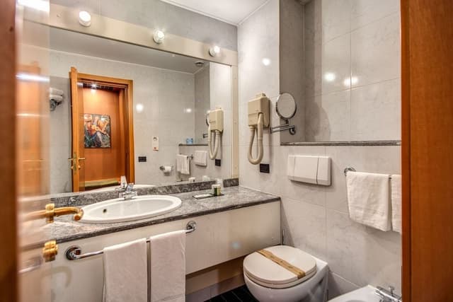 Executive Double or Twin Room