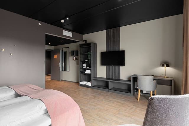 Room, 1 Queen Bed, Mobility Accessible