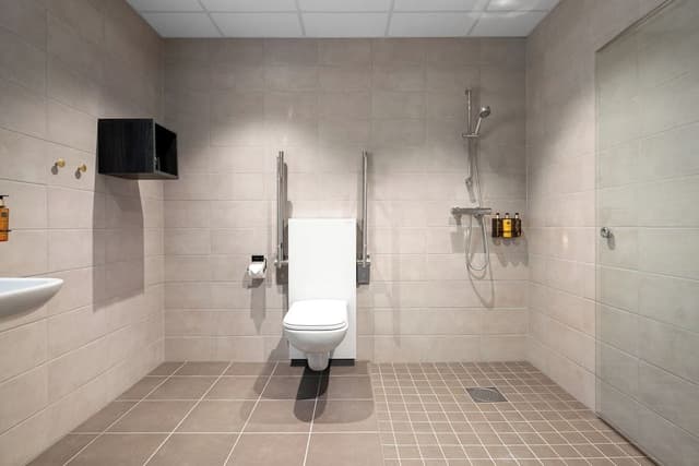 Room, 1 Queen Bed, Mobility Accessible