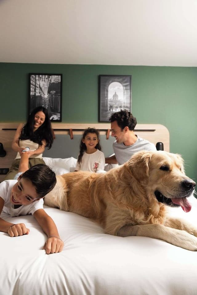Superior Room, 1 Double Bed