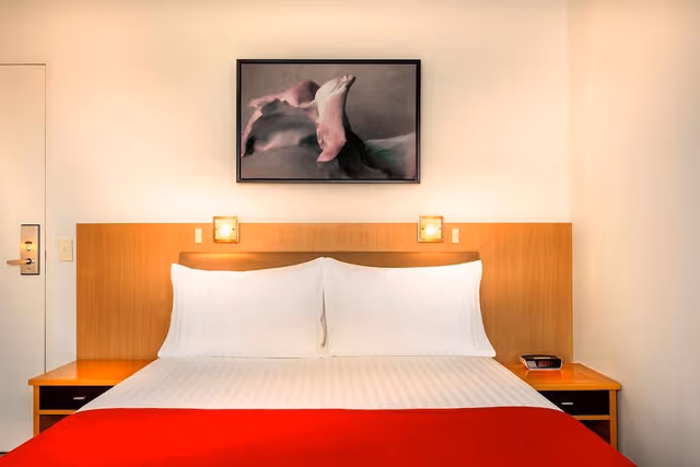 Deluxe Room, 1 Queen Bed, Non Smoking (Walk-in Shower)