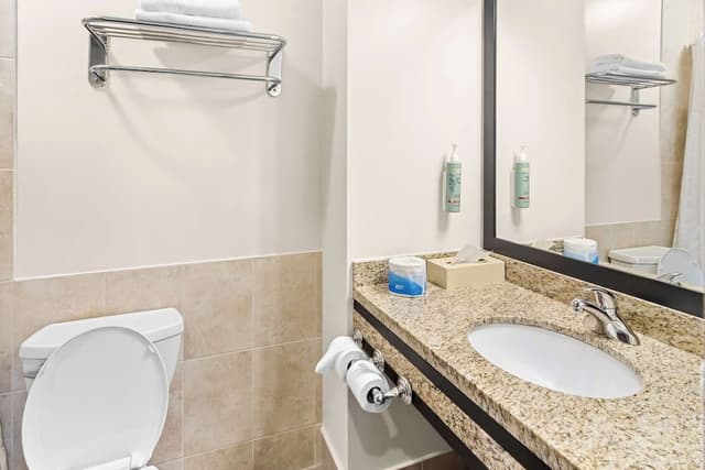 Suite, 1 King Bed, Non Smoking, Refrigerator & Microwave (with Sofabed)