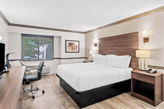 Standard Room, 1 King Bed, Non Smoking, Refrigerator & Microwave