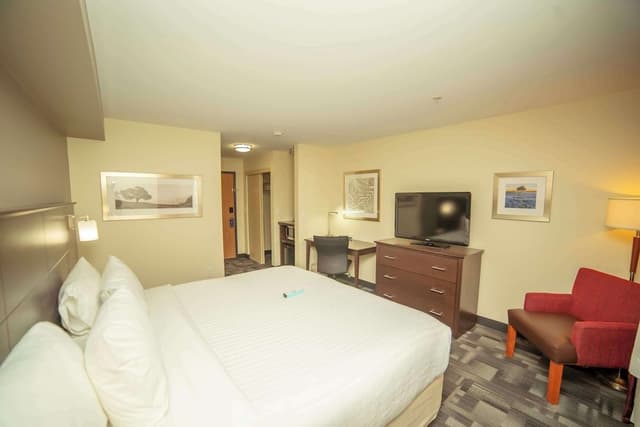 Standard Room, 1 King Bed, Non Smoking