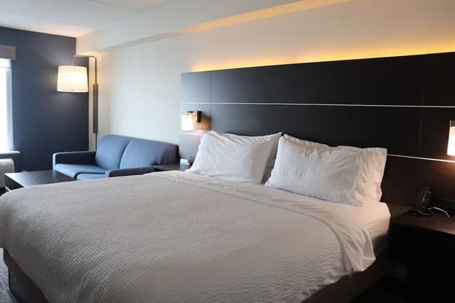 Standard Room, 1 King Bed with Sofa bed