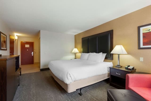 Executive Room, 1 King Bed, Non Smoking, Refrigerator & Microwave (Shower Only)