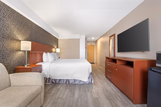 Standard Room, 1 King Bed, Non Smoking, Refrigerator & Microwave (with Sofabed)