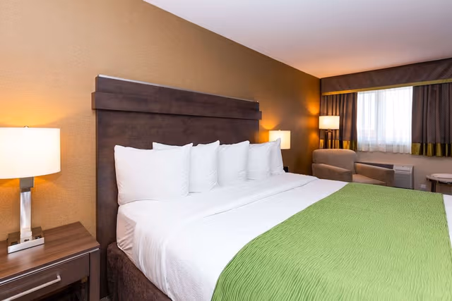 Standard Room, 1 King Bed, Non Smoking