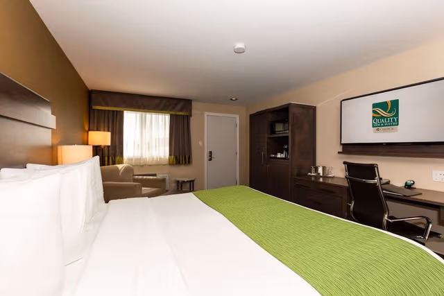 Standard Room, 1 King Bed, Non Smoking