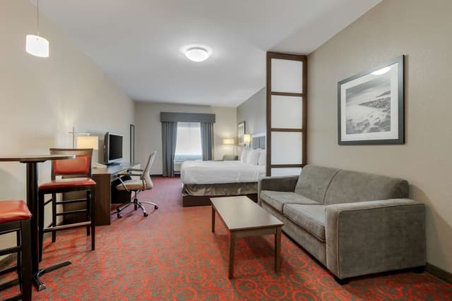 Suite, 1 King Bed, Non Smoking, Kitchenette (with Sofabed)