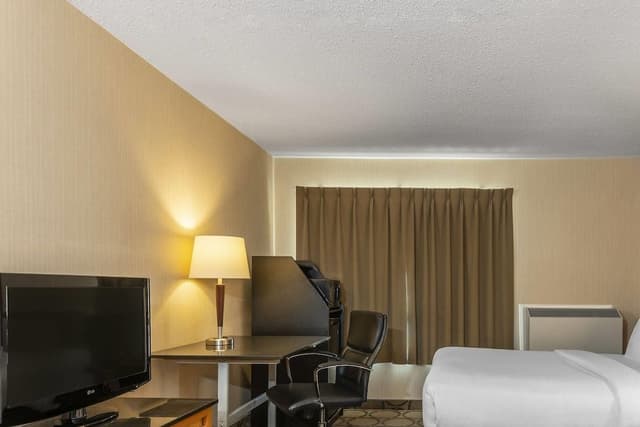 Room, 1 King Bed