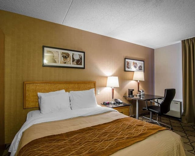 Standard Room, 1 Queen Bed, Non Smoking