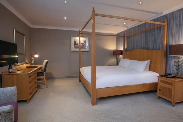 Junior King Suite