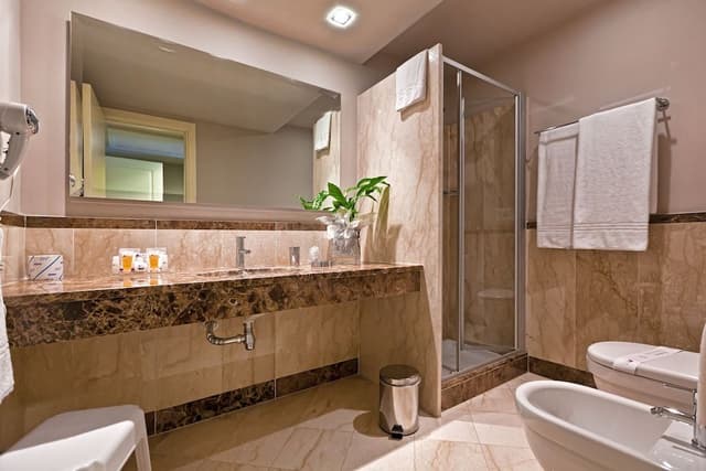 Classic Room (Wellness program)