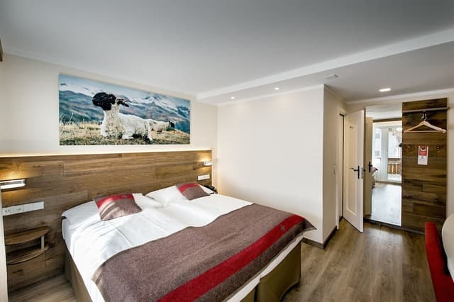 Classic Double or Twin Room, Mountain View