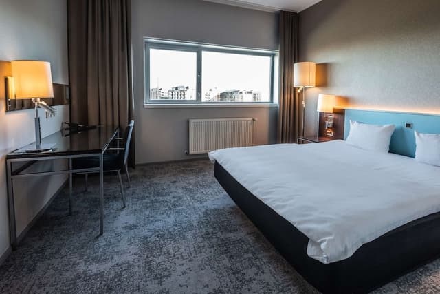 Standard Double Room, 1 King Bed
