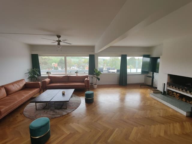 Panoramic Penthouse
