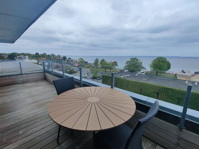 Panoramic Penthouse