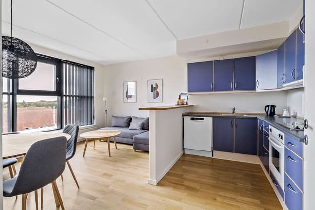 Standard Room, 1 King Bed, Non Smoking, Kitchen (with Sofabed)