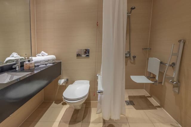 Classic Accessible King Room