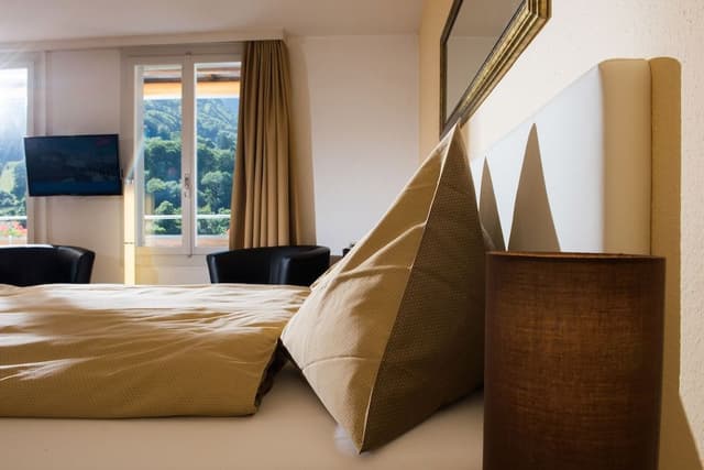 Panorama Single Room with Jungfrau View