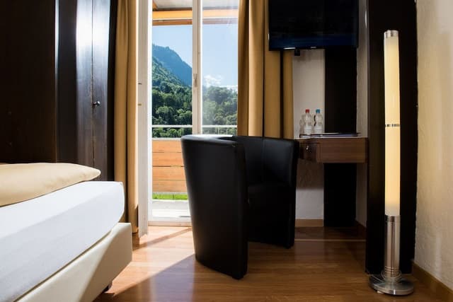 Panorama Single Room with Jungfrau View