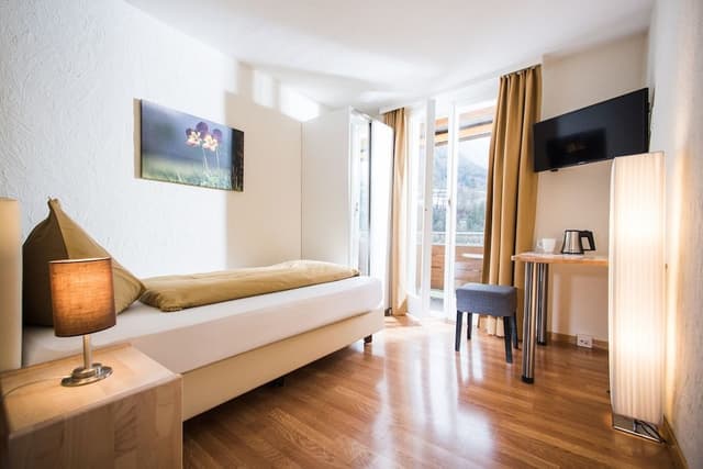 Panorama Single Room with Jungfrau View