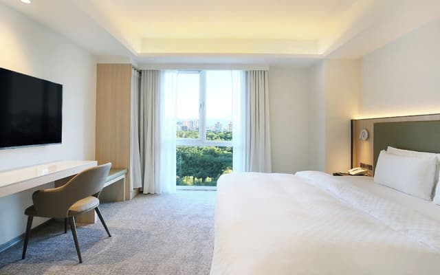 Deluxe Room, Park View