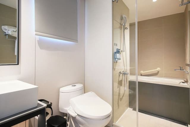 Deluxe Room, Park View