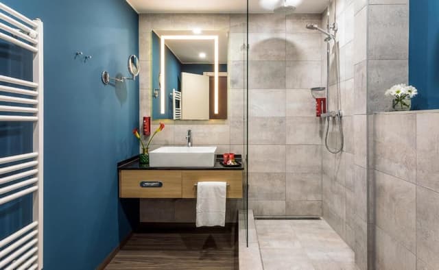 Superior Double or Twin Room