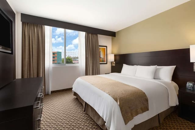 1 KING BED 1 BEDROOM SUITE-SOFABED-NONSMOKING