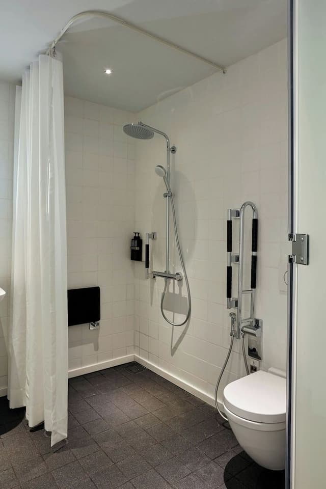 Room, 1 King Bed (Mobility Accessible, Roll-In Shower)