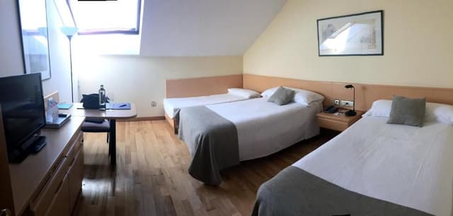 Family Room (3 Adults)