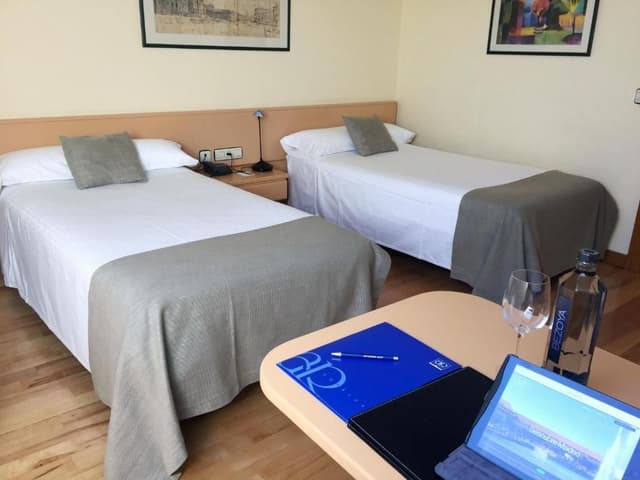 Twin Room Single Use