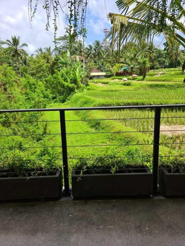 Deluxe Terrace Room