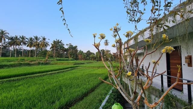 Deluxe Terrace Room